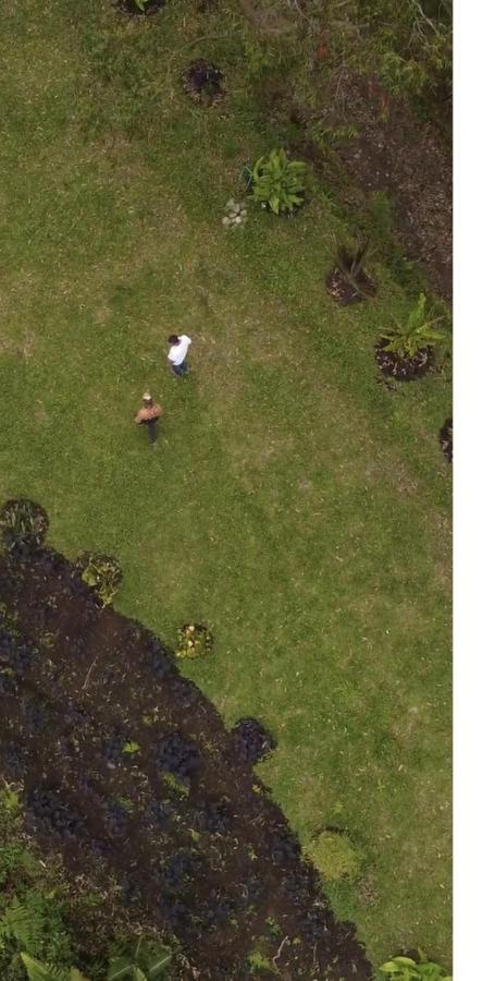 Ecohotel Entrebosques Σαλέντο Εξωτερικό φωτογραφία