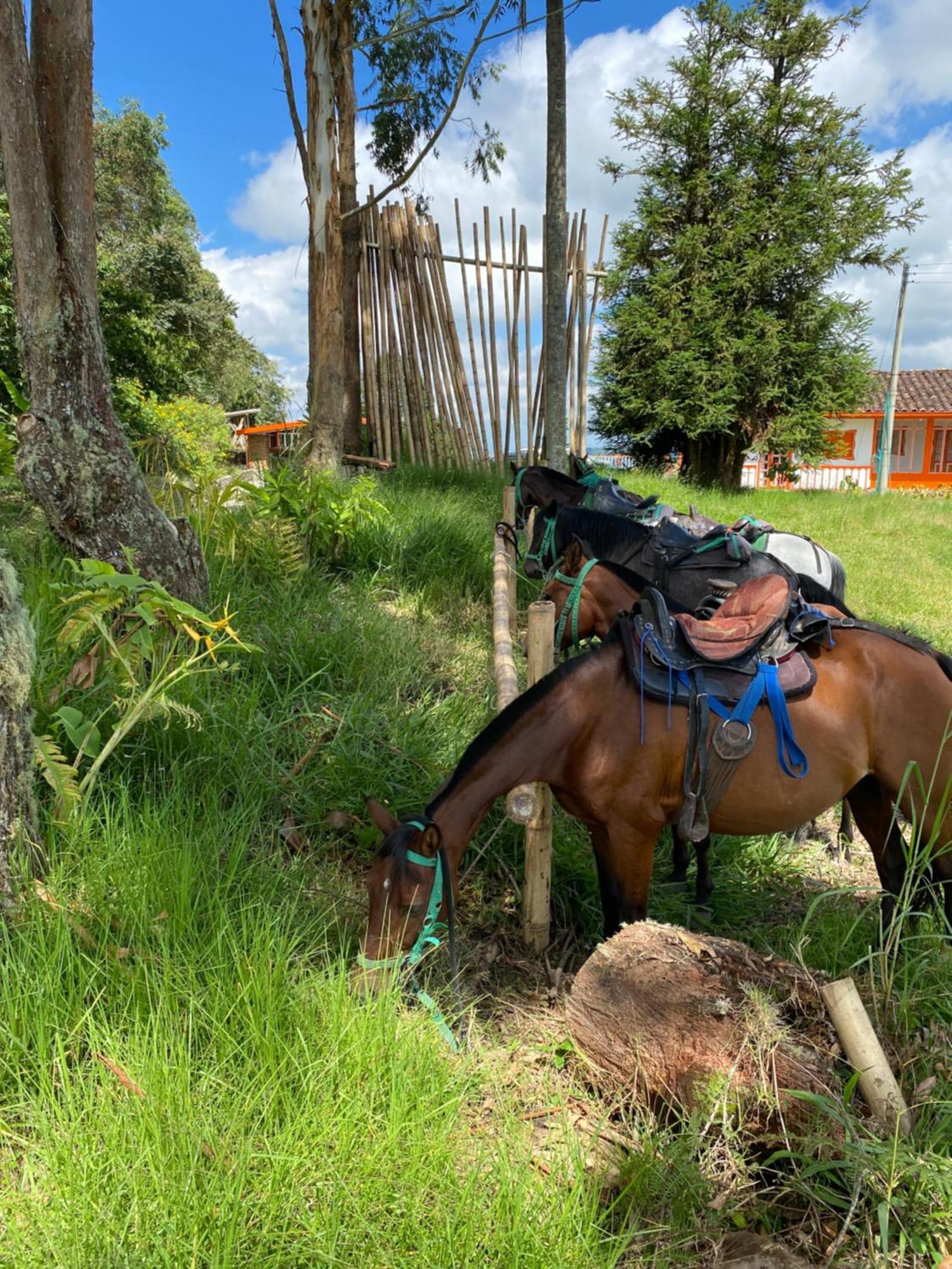 Ecohotel Entrebosques Σαλέντο Εξωτερικό φωτογραφία